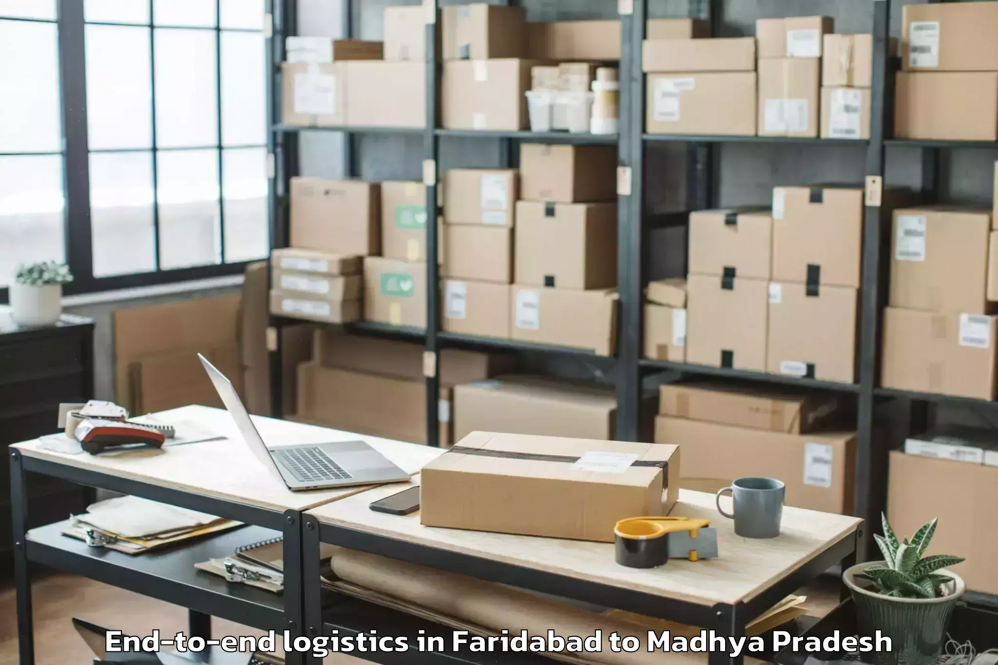 Book Faridabad to Basoda End To End Logistics Online